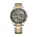 Pánské hodinky Victorinox V241902