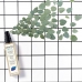 Anti-odour hair spray Phyto Paris Phytodetox Освежаващо (150 ml)