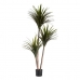 Plantă decorativă Lamă îngustă Plastic Sârmă de fier 80 x 200 x 105 cm