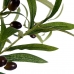 Dekorativ plante Oliven Plastik Jernkabel (85 x 150 x 85 cm)