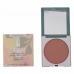 Compact Make-Up Clinique (10 g) (10 gr)