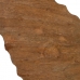 Γλυπτική Μπεζ Ξύλο από Μάνγκο 49,5 x 9 x 53,5 cm Βούκινο