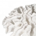 Dekoratív Figura Fehér Korall 30 x 30 x 11 cm