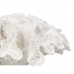 Dekorativ Figur Hvit Koral 30 x 30 x 11 cm
