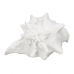 Figurine Décorative Blanc Conque 21 x 19 x 13 cm