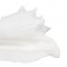 Decorative Figure White Snail 21 x 19 x 13 cm