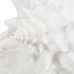 Figura Decorativa Branco Concha 21 x 19 x 13 cm