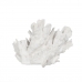 Dekorativ Figur Hvit Koral 29 x 20 x 21 cm