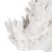Dekorativ figur Hvid Koral 29 x 20 x 21 cm