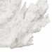 Διακοσμητική Φιγούρα Λευκό Κοράλι 29 x 20 x 21 cm