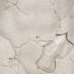 Dekorativ figur Sort Flødefarvet 26,5 x 14 x 45 cm