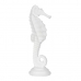 Figura Decorativa Branco Cavalo-marinho 11 x 9 x 31 cm