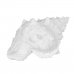 Figurka Dekoracyjna Biały Ślimak morski przodoskrzelny 21 x 14 x 12 cm