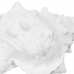 Dekorativ Figur Hvit Snegle 21 x 14 x 12 cm