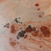 Centrotavola Salmone 39 x 39 x 6,5 cm