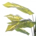 Dekorativ plante PVC Jern 45 cm