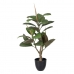 Decorative Plant Polyethylene Iron PEVA Oak 76 cm