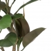 Dekorativní rostlina Polyetylen Železo PEVA Hrast 76 cm