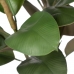 Decorative Plant Polyethylene Iron PEVA Oak 76 cm