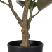 Dekorativ plante Polyetylen Jern PEVA Hrast 76 cm