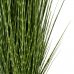 Dekorativ plante PVC Stål Cement 152 cm 15,5 x 15,5 x 15,5 cm