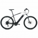 Bicicletta Elettrica Youin BK3000 EVEREST 250W 29
