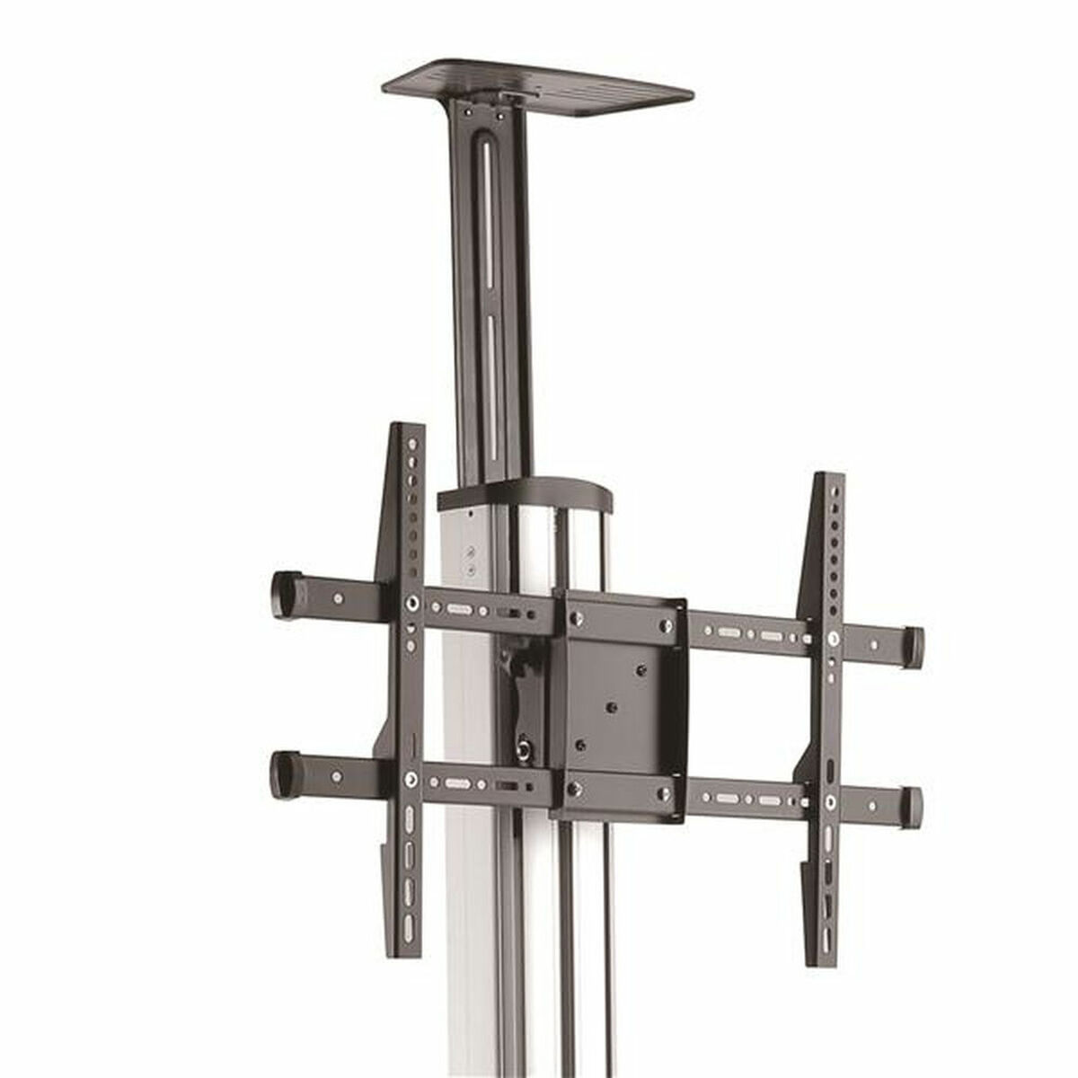 Voziček Startech STNDMTV70