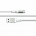 Καλώδιο USB A σε USB C Big Ben Interactive FPLIAC2MW Λευκό 2 m