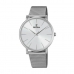 Horloge Heren Festina F20475/1 Zilverkleurig