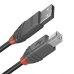 USB A til USB B Kabel LINDY 36677 10 m Svart Grå