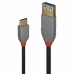 Adaptador USB C para DisplayPort LINDY 36895 150 cm Preto