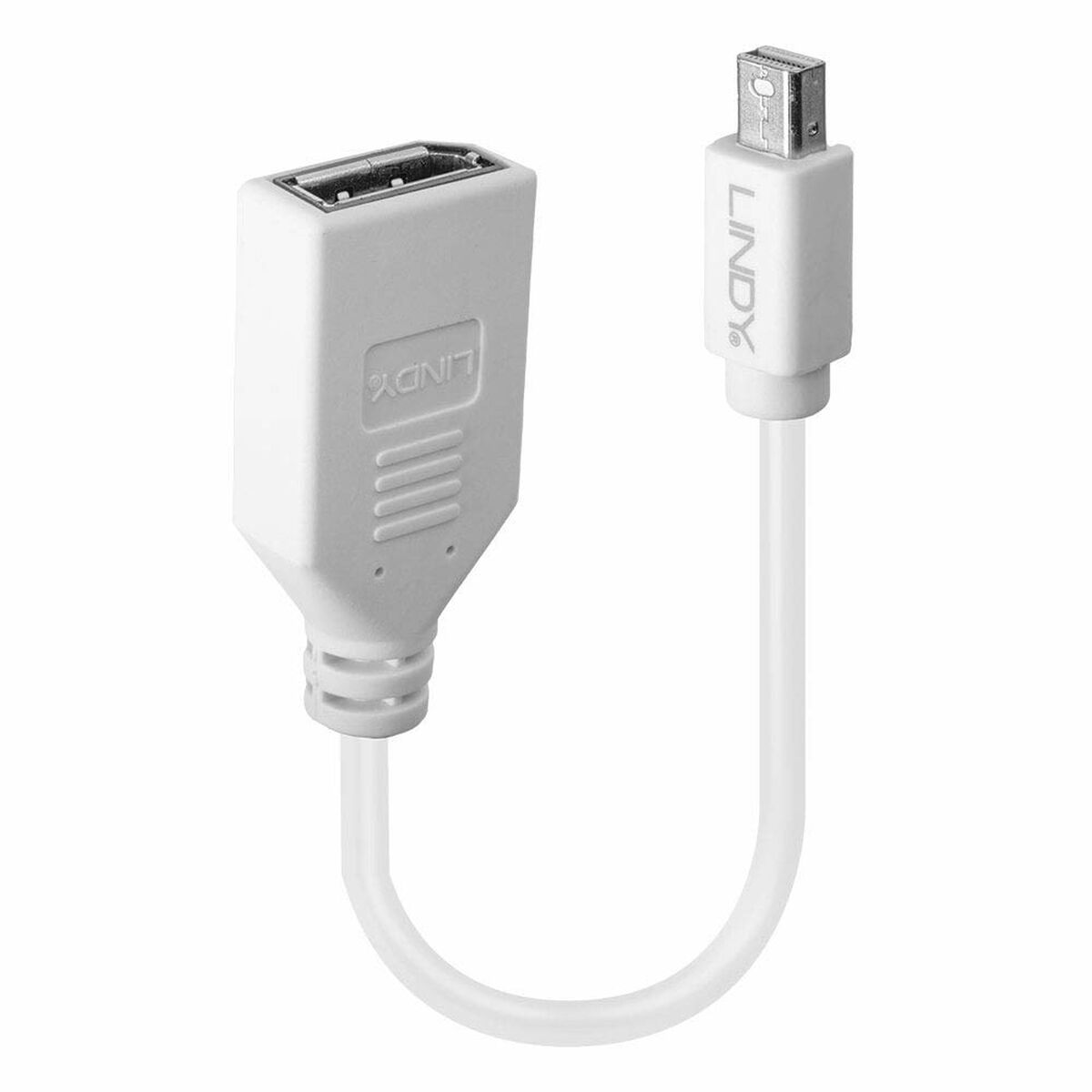 Mini-DisplayPort till DisplayPort-adapter LINDY Vit 5 m