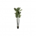 Декоративное растение DKD Home Decor полипропилен Пальмовое 100 x 100 x 230 cm