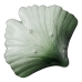 Tray Green Shell 33 x 31 cm