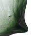 Pladenj Zelena Školjka 48 cm