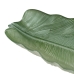 Pladenj Zelena Rastlinski list 40 cm