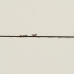 Konsole Balts Dabisks Egles koksne Koks MDF 104 x 50 x 78 cm