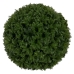 Dekorativ Plante Grønn PVC 20 x 20 cm