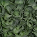 Roślina Dekoracyjna Kolor Zielony PVC 30 x 30 cm