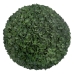 Dekorationspflanze grün PVC 37 x 37 cm