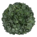 Dekor növény Zöld PVC 19 x 19 cm