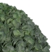 Dekorativ växt Grön PVC 23 x 23 cm