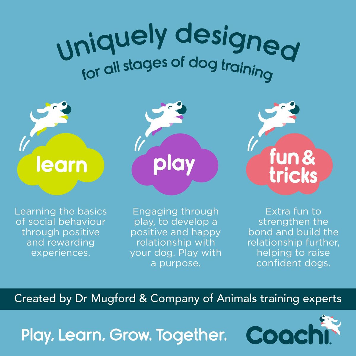 Training toy Coachi TRAINING DUMMY Modra