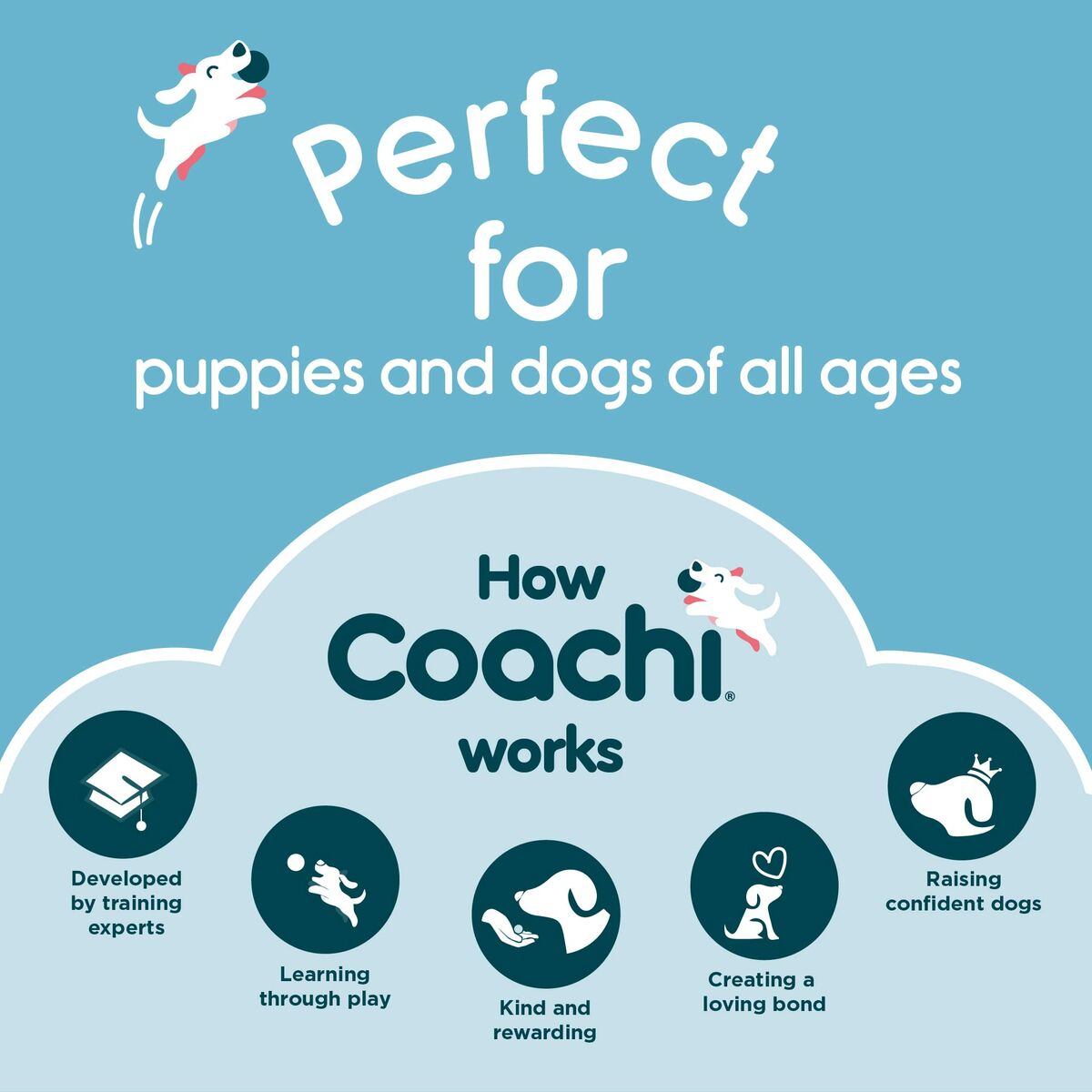 Training toy Coachi TRAINING DUMMY Modra