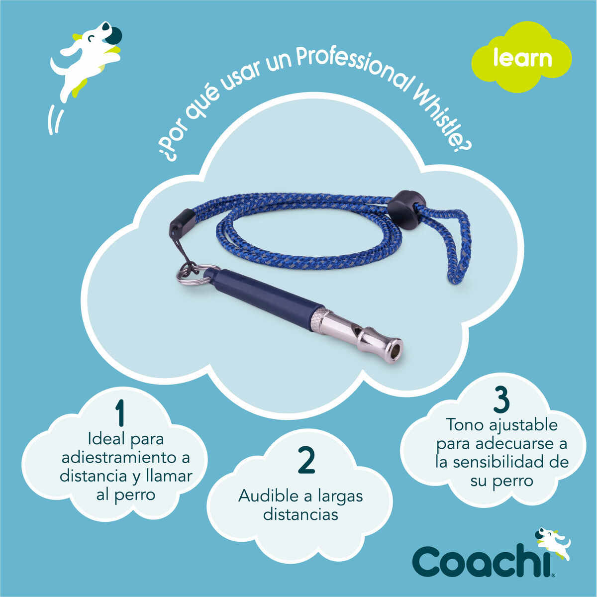 Vile Coachi Sinine
