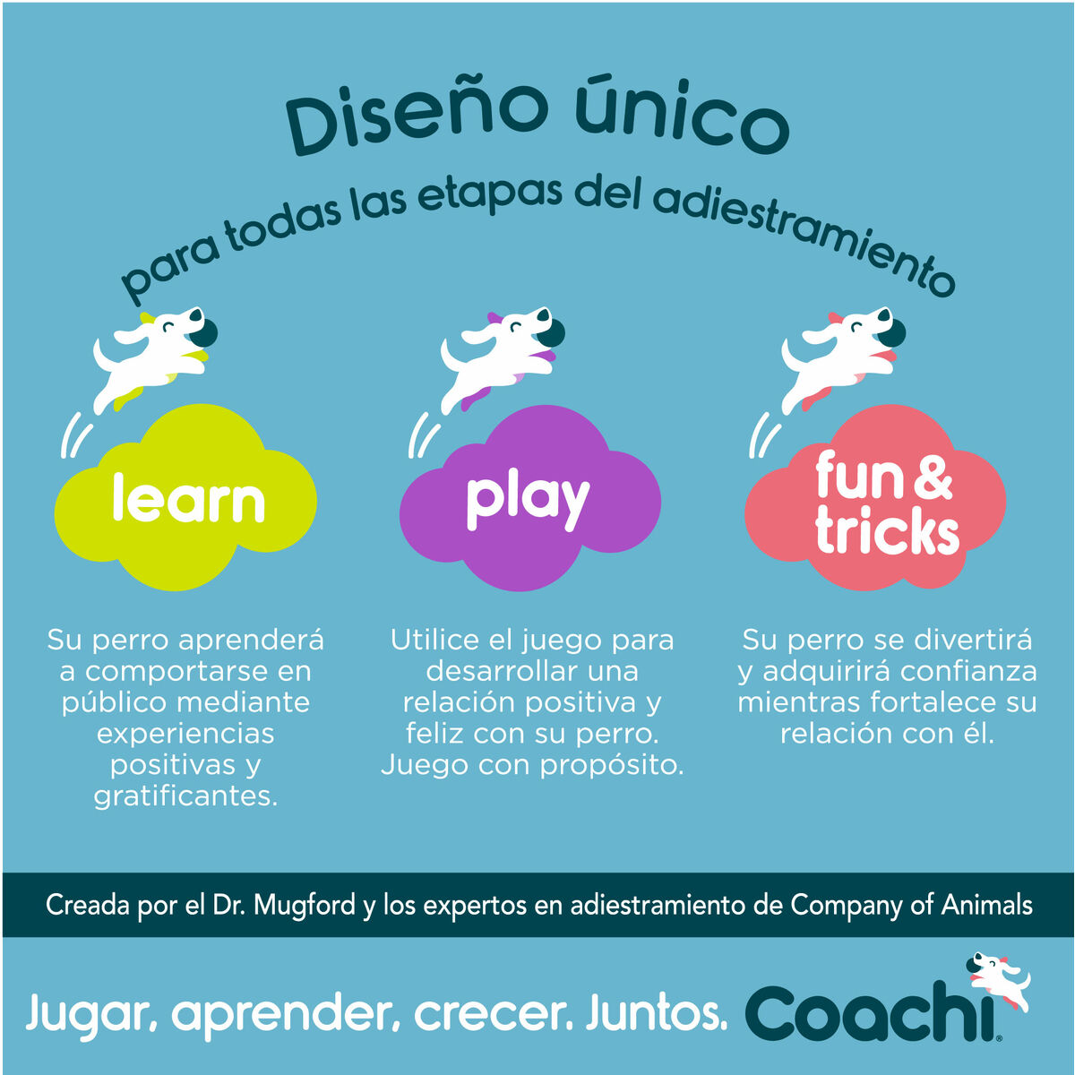 Training toy Coachi Modrý