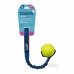 Training toy Coachi TUGGI BALL Modra