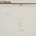 Bielizník Biela Jedľové drevo Drevo MDF 105 x 50 x 87,5 cm