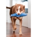 Giocattoli per cani Red Dingo 25,5 cm Squalo Interno/Esterno