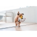 Παιχνίδια για Σκύλους Red Dingo 20,5 cm Πουλί Λευκό Εσωτερικό/Εξωτερικό